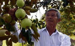 Làm giàu giữa “rốn mặn” U Minh