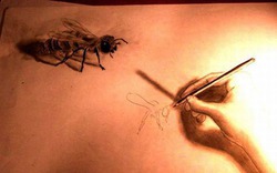 Sự tích Adam và Eva phiên bản Ruồi: Ngày xưa, họa sĩ chỉ vẽ mỗi con ruồi đực...!!!