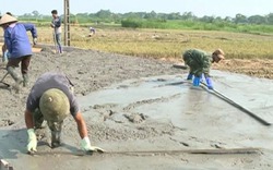 Hội Nông dân TP Sông Công xây dựng nông thôn mới