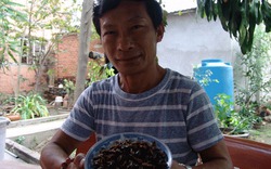 Ông thợ sửa xe máy và giấc mơ “bột dế Việt Nam”