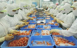 Giải pháp nào để ngành tôm Việt Nam xuất khẩu 10 tỉ USD