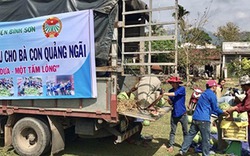 Các điểm liên hệ mua dưa 2.000 đồng/kg ủng hộ nông dân Quảng Ngãi