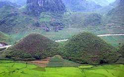 Đến chợ tình Khau Vai, hãy ghé thăm những nơi tuyệt đẹp này ở Hà Giang