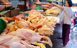 Giá lợn hơi tiếp đà giảm, gà thịt tăng giá tiềm ẩn rủi ro