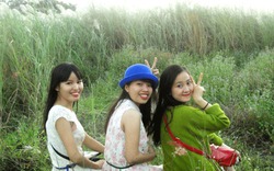 Giới trẻ hò nhau ngắm bãi cỏ lau tuyệt đẹp bên sông Lam