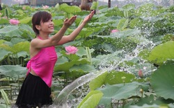 Giới trẻ rộ phong trào chụp hình đầm sen trái mùa ở Sài Gòn