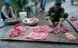 Rủ nhau đụng lợn, bán thịt online để cứu người nuôi lợn