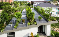 Ngôi nhà có kiến trúc vườn cây độc đáo trên mái ở phố biển Nha Trang