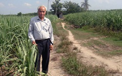 Cách cải tạo đất lạ đời của lão nông ở Tây Ninh
