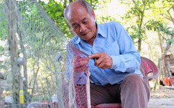 Lão ngư 90 tuổi một mình trồng gần 20hecta rừng phi lao chắn sóng biển.