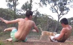 Video clip: Khi các thanh niên rảnh rỗi vào rừng chơi với kiến
