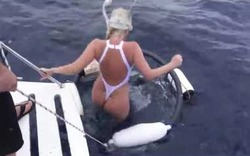 Mẫu nữ bị cá mập cắn khi chụp ảnh khêu gợi dưới nước