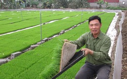 Anh nông dân thuê 26ha ruộng trồng lúa, mỗi năm bỏ túi 1 tỉ đồng