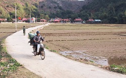 Nông thôn mới với lòng dân đồng thuận