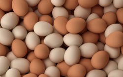 Bi đát trứng gà tiêu chuẩnVietGAP lại rẻ hơn trứng gà thường