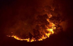 Chùm ảnh cháy rừng Sóc Sơn lớn nhất trong lịch sử