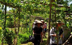 Làng du lịch cộng đồng Triêm Tây - điểm đến đặc biệt tại Quảng Nam