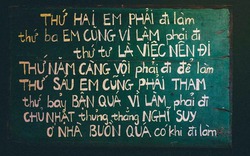 Đây là lý do dân công sở phải đi làm cả tuần