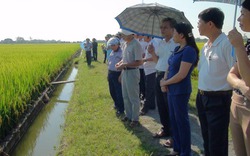 Nông thôn mới tuyệt đối tin tưởng vào sự lãnh đạo của Đảng