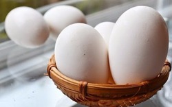 Món trứng luộc mang lại lợi ích gì cho bà bầu?