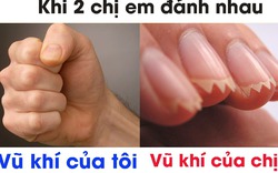 Nhìn đã thấy ớn rồi còn dám đánh đấm gì nữa