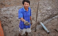 Hàng trăm ha tôm nuôi ở Kim Sơn chết do mắc dịch bệnh thiệt hại hàng tỉ đồng