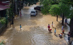 Mưa lũ ở Yên Bái làm 1 người mất tích, nhấn chìm 730 ha lúa, tàn phá 525 ngôi nhà