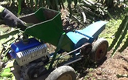 Clip: Máy băm dây thanh long tự chế của nông dân Bình Thuận