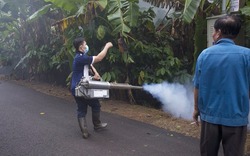 Giải pháp phun khói diệt côn trùng trên vườn ca cao, hiệu quả khác biệt 