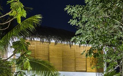 Khu nhà vườn mái lợp lá dừa ở Trà Vinh gây sốt trên báo nước ngoài