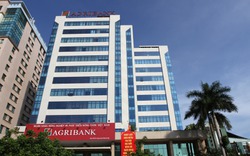 Agribank: Hy sinh lợi nhuận, quyết tâm dọn nợ xấu