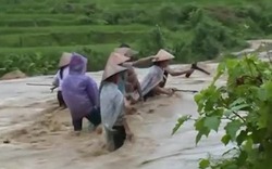 Người dân bất chấp nguy hiểm đứng giữa dòng lũ vớt củi ở Điện Biên