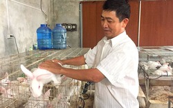 Mô hình nuôi thỏ thu nhập trên 1 tỉ đồng/năm của ngư dân Hà Tĩnh