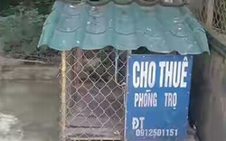 Phòng trọ thế hệ mới. Tìm người thuê gấp. 