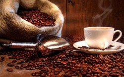 Giá nông sản hôm nay 11/8: Cà phê 'bốc hơi' gần 1 triệu đồng/tấn, tiêu vững giá trên 90.000 đồng/kg