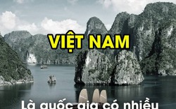 Có thể bạn đã biết...