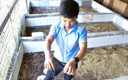 Rợn người khi thăm trang trại nuôi hàng vạn con côn trùng ở Hà Nội