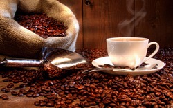Giá nông sản hôm nay 16/8: Hồ tiêu đi ngang, cà phê tiếp tục giảm sốc 1 triệu đồng/tấn