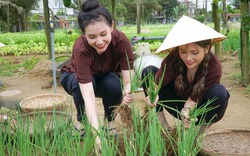 Hai người đẹp mặc áo bà ba, trải nghiệm trồng rau ở ngoại ô Hội An