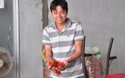 Tự hào nông dân Việt Nam 2017: Từ bỏ "chân" cán bộ, trồng ớt xuất khẩu doanh thu 34 tỉ đồng/năm