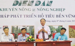 Giải pháp cho phát triển hồ tiêu bền vững