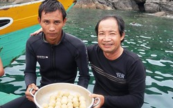 Cực hiếm: Phát hiện ổ trứng rùa biển dưới đáy Cù Lao Chàm