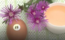 Trứng gà chất lượng cao giá 100.000 đồng/quả có gì đặc biệt?