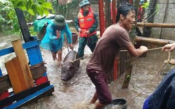 Bão số 10 tại miền Trung: Sau bão, miền Trung tan hoang, thiệt hại nặng nề