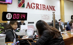 Agribank tiên phong giảm lãi suất, hỗ trợ chi phí cho khách hàng