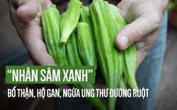 Quả đậu bắp phổ biến ở VN được gọi là "nhân sâm xanh" bổ thận tráng dương hàng đầu