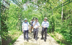 Vườn mẫu “trăm triệu” ở Hà Tĩnh