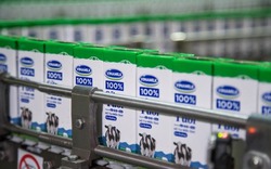 Vinamilk trúng thầu hơn 3.800 tỷ đồng sữa học đường Hà Nội:  Phụ huynh băn khoăn, có đúng 100% là sữa tươi?