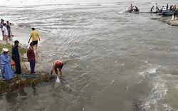 Người Đà Nẵng đổ xô ra biển vớt “lộc trời” sau trận mưa gây ngập khủng khiếp