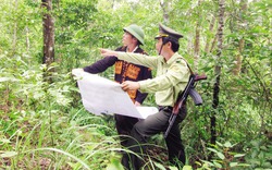 Sơn Động tăng cường các biện pháp bảo vệ rừng